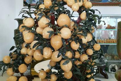 VÌ SAO CÂY ĐÀO ĐÁ QUÝ LÀ LỰA CHỌN PHONG THUỶ HÀNG ĐẦU ĐỂ THU HÚT TÀI LỘC?