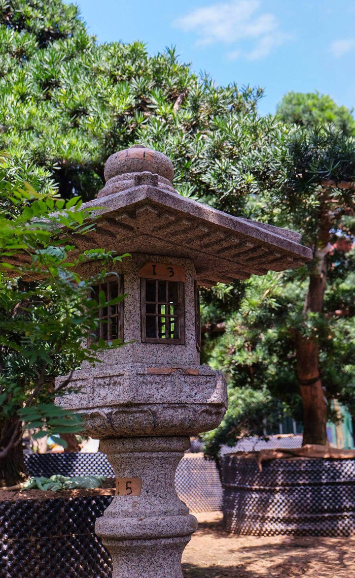 đen-đa-kiểu-nhật-1