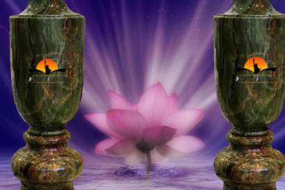 Nơi bán lục bình ngọc uy tín, có tiếng trên thị trường