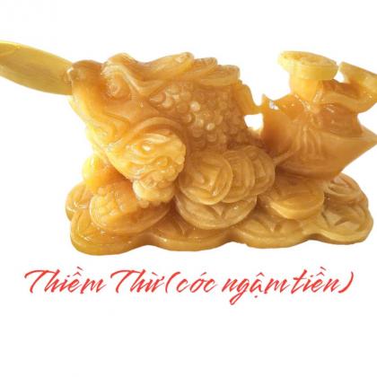 MÁY RỬA ĐĨA ELISA