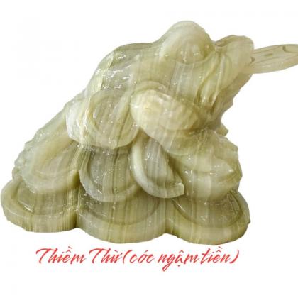 MÁY RỬA ĐĨA ELISA