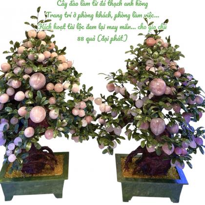 Cây đào phong thủy