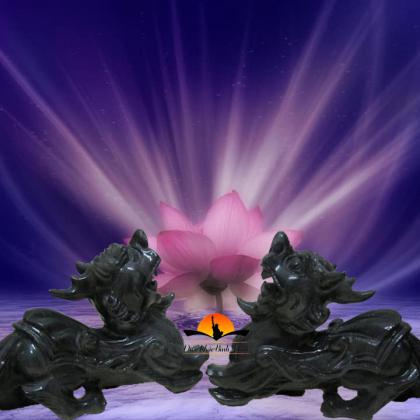 MÁY RỬA ĐĨA ELISA